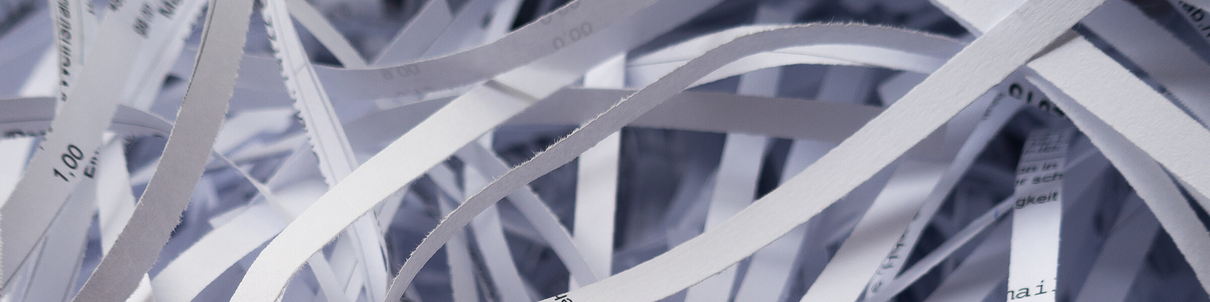 An empty office room filled with chairs at a long table, with a window view of trees outside.